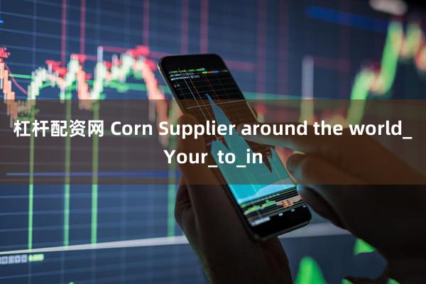 杠杆配资网 Corn Supplier around the world_Your_to_in