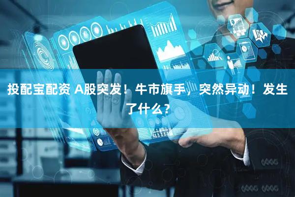 投配宝配资 A股突发！牛市旗手，突然异动！发生了什么？