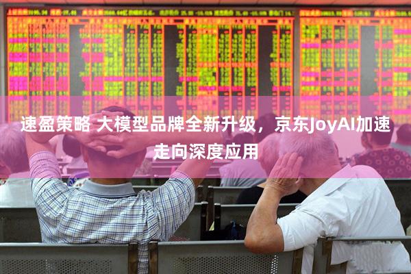 速盈策略 大模型品牌全新升级，京东JoyAI加速走向深度应用