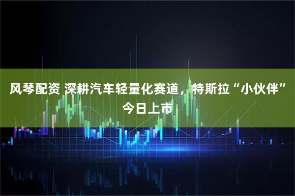 风琴配资 深耕汽车轻量化赛道，特斯拉“小伙伴”今日上市
