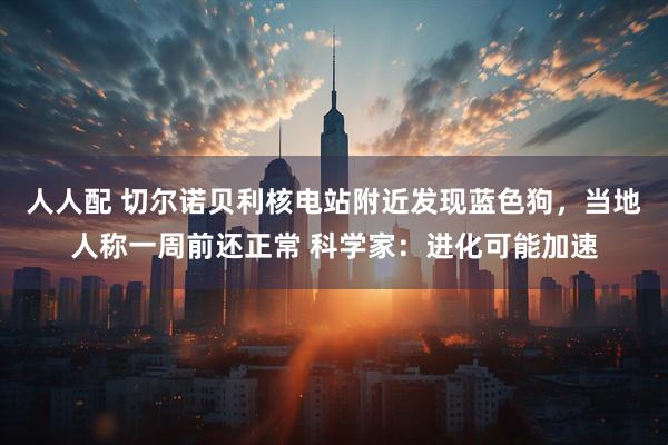 人人配 切尔诺贝利核电站附近发现蓝色狗，当地人称一周前还正常 科学家：进化可能加速