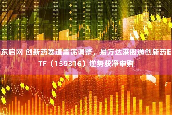 东启网 创新药赛道震荡调整，易方达港股通创新药ETF（159316）逆势获净申购