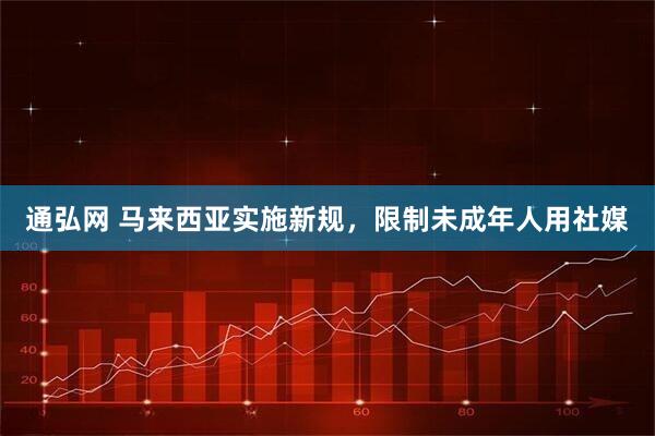 通弘网 马来西亚实施新规，限制未成年人用社媒